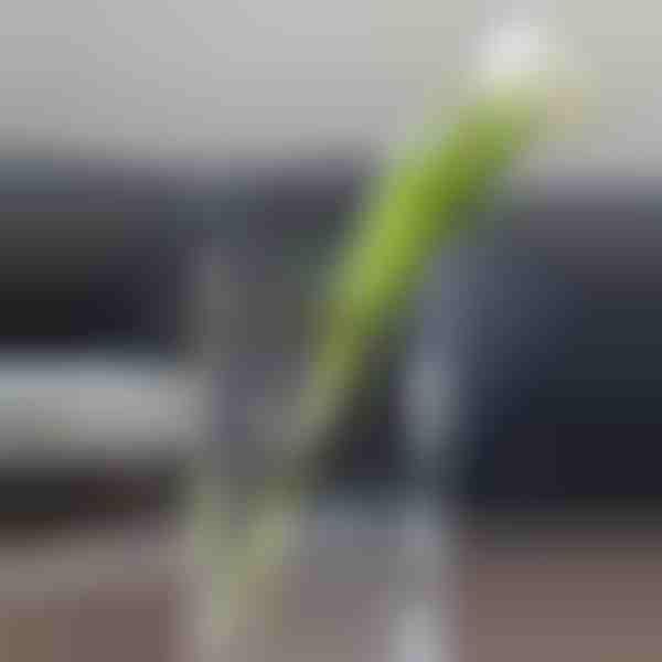 Šikk raamatukujuline vaas lilledele | FLOWERFRAME