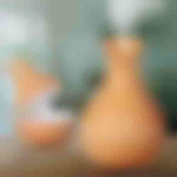 Puidust niisutaja | HUMISTER