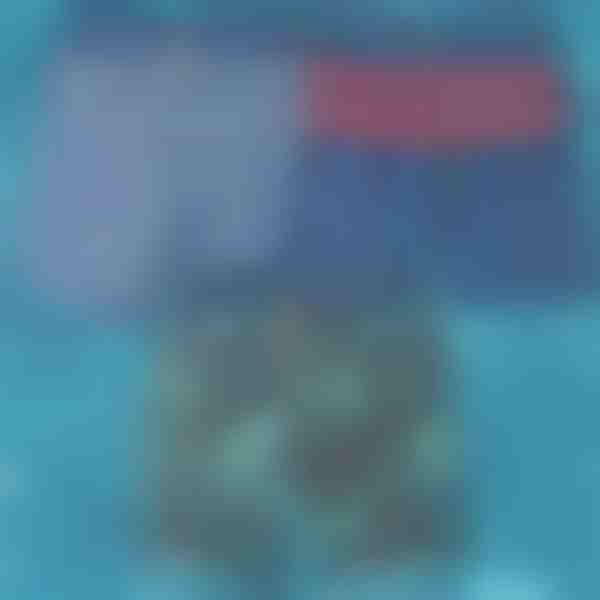 Kiirkuivavad ujumispüksid | TOGGIES