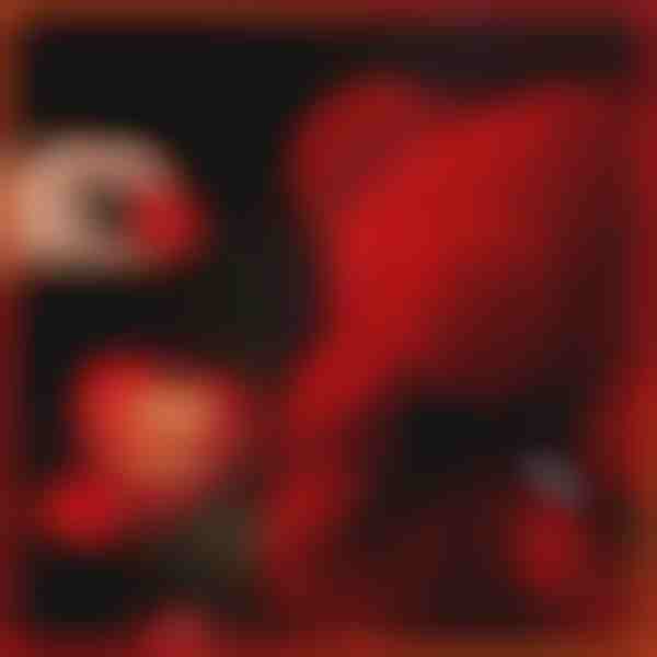 Armastust väljendav kingitus | LOVEBEAR