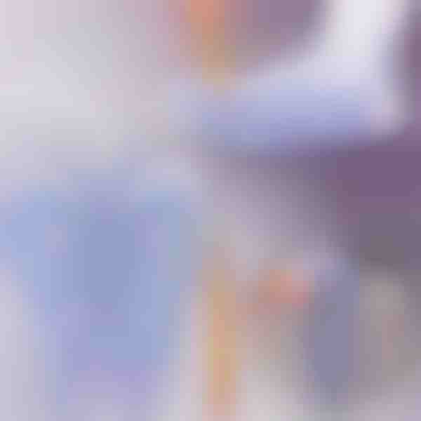 Aktiveeri tervisepunktid – refleksoloogilised sokid igapäevaseks massaažiks | FEETRA